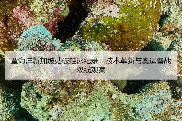 tan-hai-yang-xin-jia-po-zhan-po-wa-yong-ji-lu-ji-shu-ge-xin-yu-ao-yun-bei-zhan-shuang-xian-guan-cha-3-944.jpg
